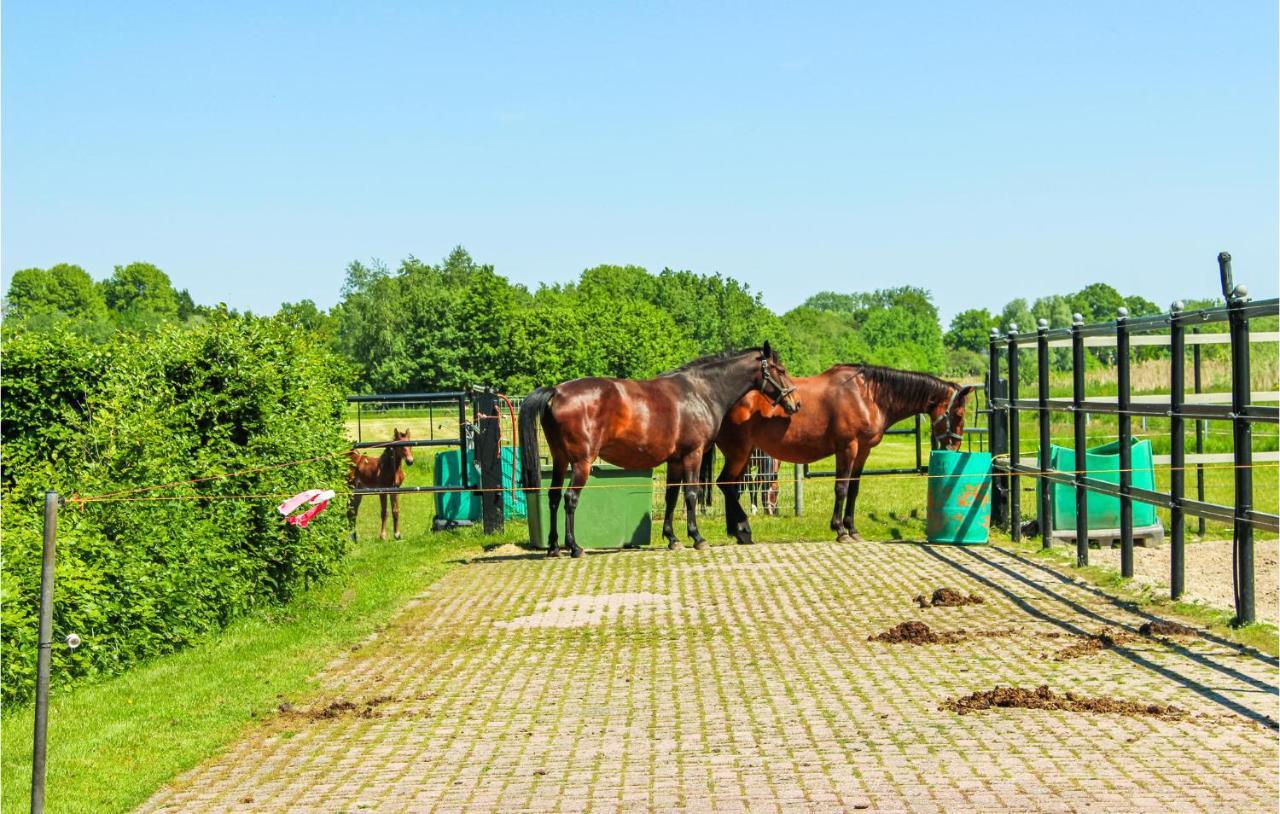 2 Bedroom Awesome Home In Udenhout エクステリア 写真